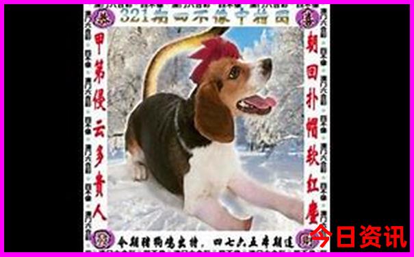 夏天去哪里最凉快